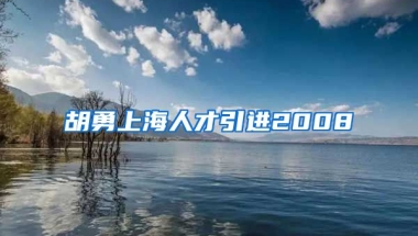 胡勇上海人才引进2008