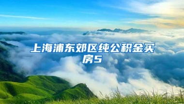 上海浦东郊区纯公积金买房5