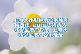 上海人才引进落户条件咨询热线 2019上海市人才引进落户政策 上海人才引进落户公示地址