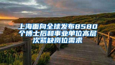 上海面向全球发布8580个博士后和事业单位高层次紧缺岗位需求