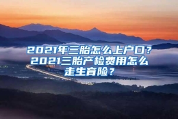 2021年三胎怎么上户口？2021三胎产检费用怎么走生育险？