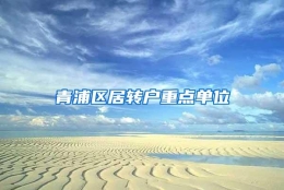 青浦区居转户重点单位