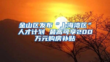 金山区发布“上海湾区”人才计划 最高可享200万元购房补贴