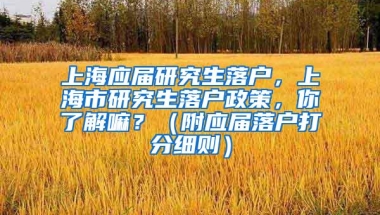 上海应届研究生落户，上海市研究生落户政策，你了解嘛？（附应届落户打分细则）