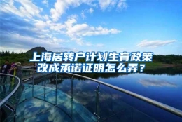 上海居转户计划生育政策改成承诺证明怎么弄？