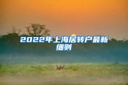 2022年上海居转户最新细则