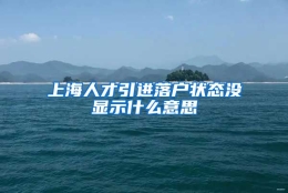 上海人才引进落户状态没显示什么意思