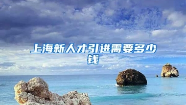 上海新人才引进需要多少钱