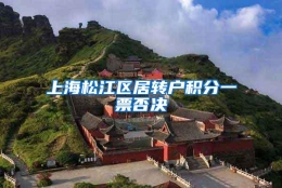 上海松江区居转户积分一票否决