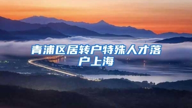 青浦区居转户特殊人才落户上海