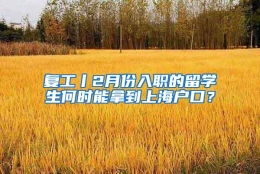 复工丨2月份入职的留学生何时能拿到上海户口？