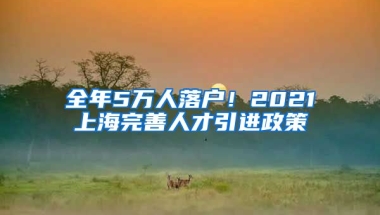 全年5万人落户！2021上海完善人才引进政策