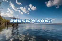 黄浦区居转户必须有积分