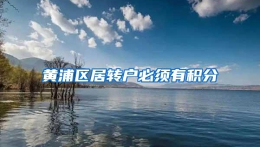 黄浦区居转户必须有积分