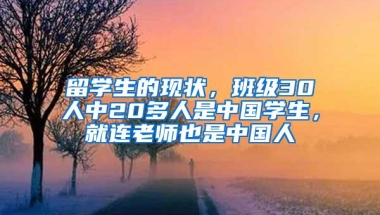 留学生的现状，班级30人中20多人是中国学生，就连老师也是中国人