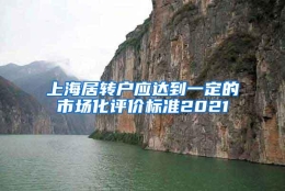 上海居转户应达到一定的市场化评价标准2021