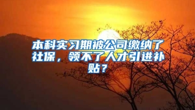 本科实习期被公司缴纳了社保，领不了人才引进补贴？