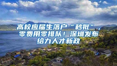 高校应届生落户“秒批”，零费用零排队！深圳发布给力人才新政