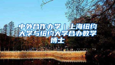 中外合作办学｜上海纽约大学与纽约大学合办数学博士