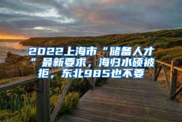 2022上海市“储备人才”最新要求，海归水硕被拒，东北985也不要