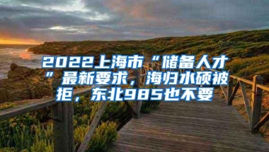 2022上海市“储备人才”最新要求，海归水硕被拒，东北985也不要