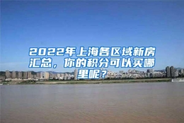 2022年上海各区域新房汇总，你的积分可以买哪里呢？