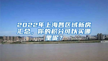 2022年上海各区域新房汇总，你的积分可以买哪里呢？