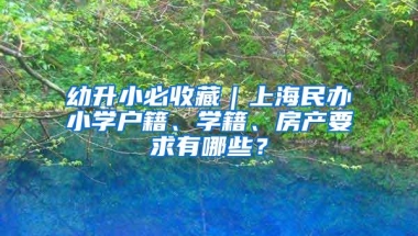 幼升小必收藏｜上海民办小学户籍、学籍、房产要求有哪些？