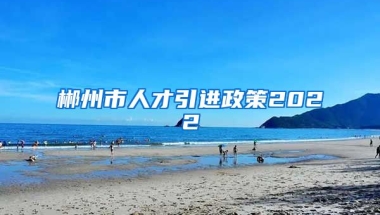 郴州市人才引进政策2022