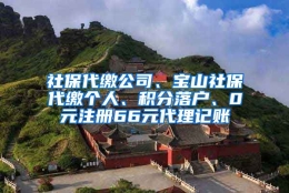 社保代缴公司、宝山社保代缴个人、积分落户、0元注册66元代理记账