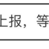 2021上海人才引进落户流程记录（5.31已公示）