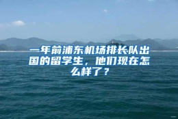 一年前浦东机场排长队出国的留学生，他们现在怎么样了？