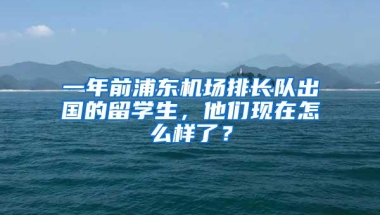 一年前浦东机场排长队出国的留学生，他们现在怎么样了？