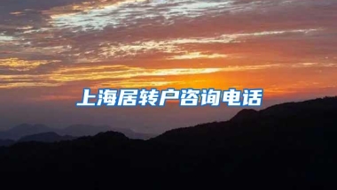 上海居转户咨询电话