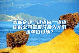 高新企业一键查询，查查你的公司是否符合人才引进单位资质？