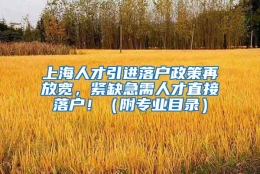 上海人才引进落户政策再放宽，紧缺急需人才直接落户！（附专业目录）