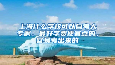 上海什么学校可以自考大专啊，最好学费便宜点的，容易考出来的