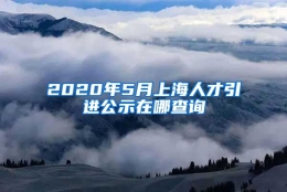 2020年5月上海人才引进公示在哪查询