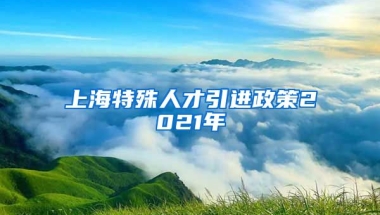 上海特殊人才引进政策2021年