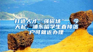 打造人才“强磁场”，今天起，浦东留学生直接落户可就近办理