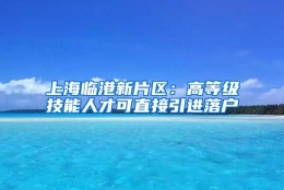 上海临港新片区：高等级技能人才可直接引进落户