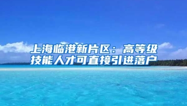 上海临港新片区：高等级技能人才可直接引进落户