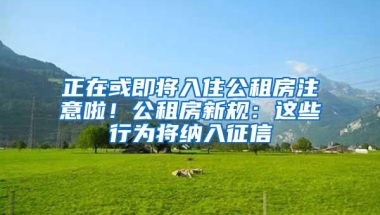 正在或即将入住公租房注意啦！公租房新规：这些行为将纳入征信