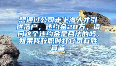 想通过公司走上海人才引进落户，违约金20万，请问这个违约金是合法的吗，如果我辞职时打官司有胜算嘛