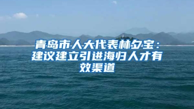 青岛市人大代表林夕宝：建议建立引进海归人才有效渠道