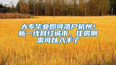 大专毕业即可落户杭州！新一线网红城市，住房刚需可以入手了