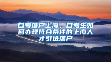 自考落户上海，自考生如何办理符合条件的上海人才引进落户