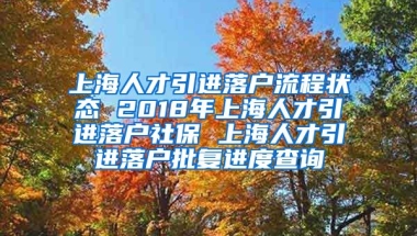 上海人才引进落户流程状态 2018年上海人才引进落户社保 上海人才引进落户批复进度查询