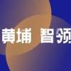 再创新高！高金金融硕士项目2022届国内毕业生就业数据出炉