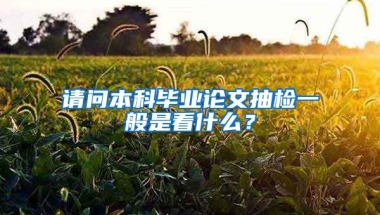 请问本科毕业论文抽检一般是看什么？